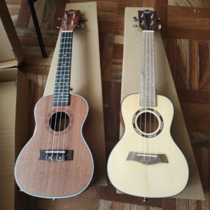 Ukulele (Concierto) para estudiantes y principiantes