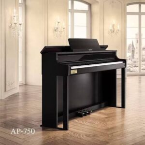 Piano Digital Casio Celviano AP-750 Negro Profesional