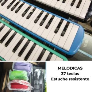 Melódica de 37 Teclas con Estuche RESISTENTE | Perfecto para colegiales
